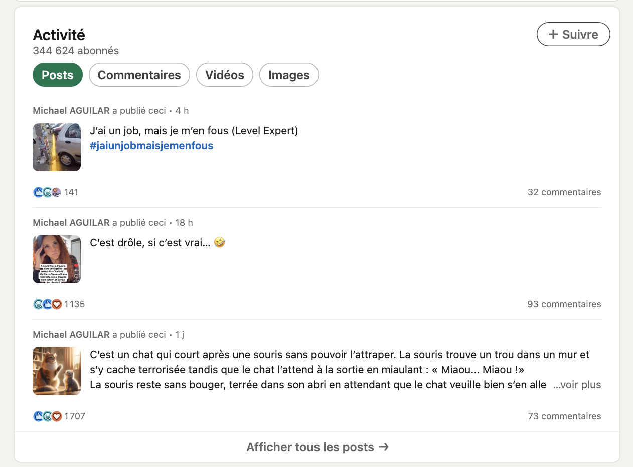 activite-linkedin-exemple-2