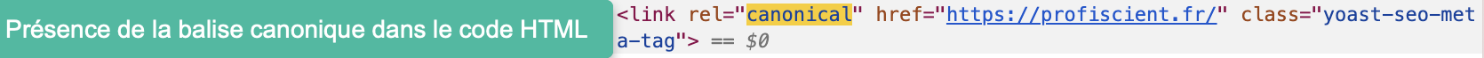 Balise canonique