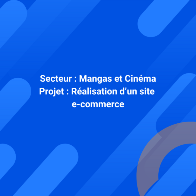 Création d’un site e-commerce spécialisé dans les répliques pour les fans de mangas et de cinéma